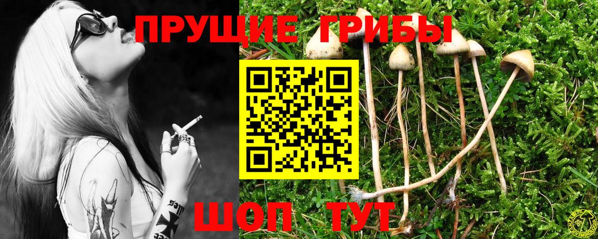 Псилоцибиновые грибы мухоморы  Вход с VPN  Псилоцибиновые грибы MAGIC MUSHROOMS  Холмск 
